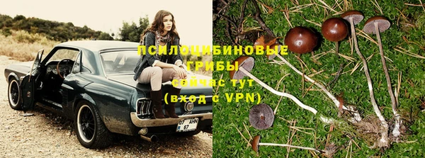 кокс Аркадак