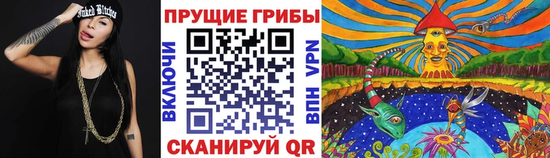 blacksprut ссылка  Собинка  Псилоцибиновые грибы Magic Shrooms 